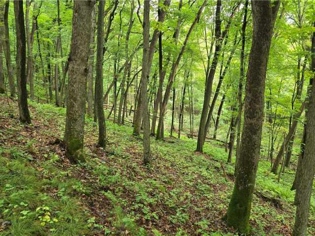 Ridgeland Land Real Estate