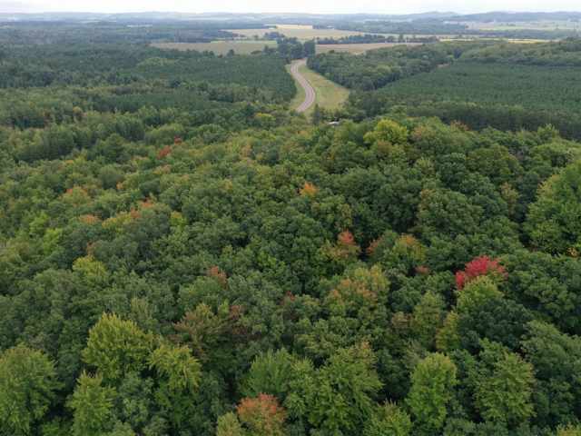 Ridgeland Land Real Estate