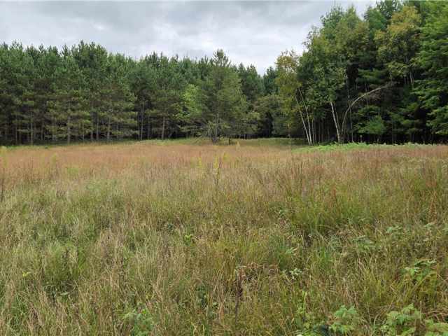 Ridgeland Land Real Estate