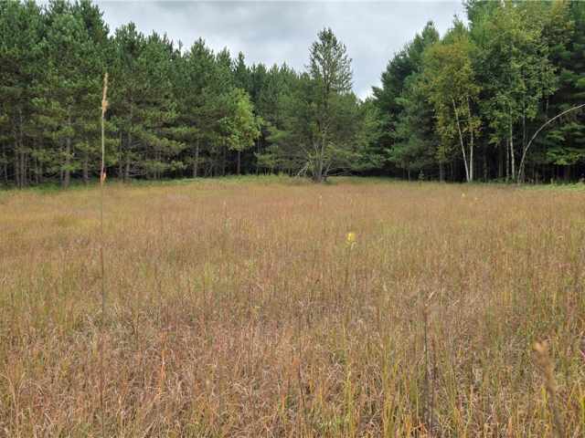 Ridgeland Land Real Estate