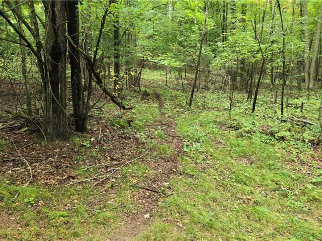 Ridgeland Land Real Estate