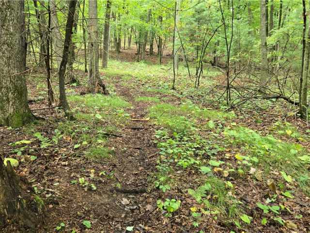 Ridgeland Land Real Estate