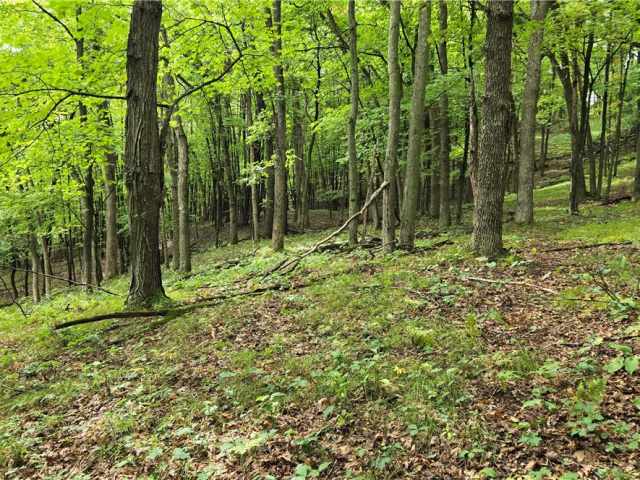 Ridgeland Land Real Estate
