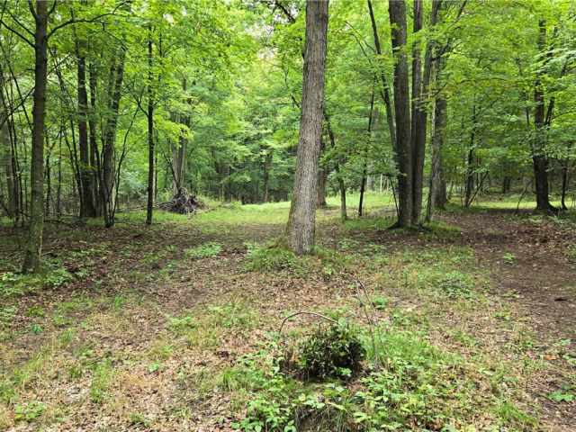 Ridgeland Land Real Estate