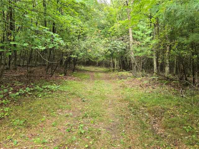 Ridgeland Land Real Estate