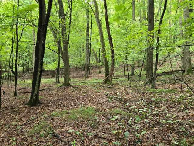 Ridgeland Land Real Estate