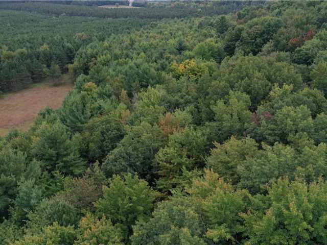 Ridgeland Land Real Estate
