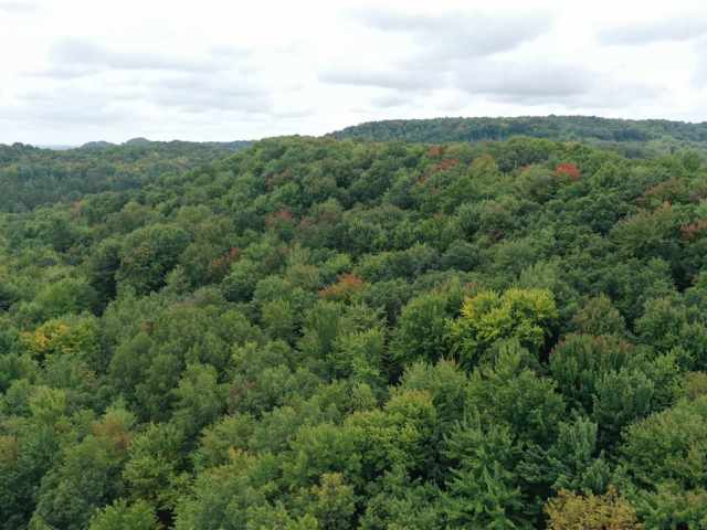 Ridgeland Land Real Estate