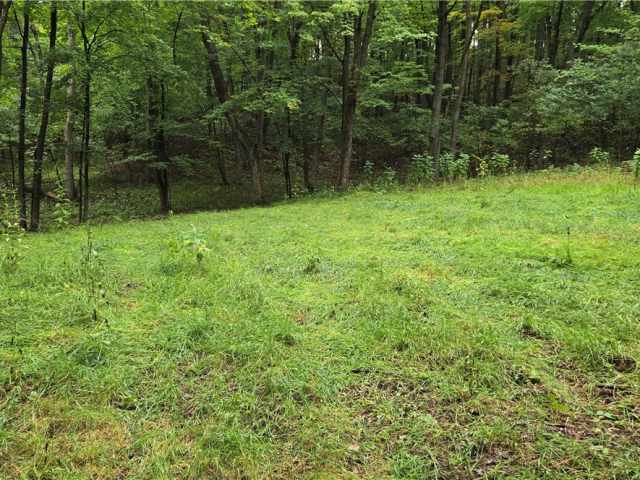 Ridgeland Land Real Estate