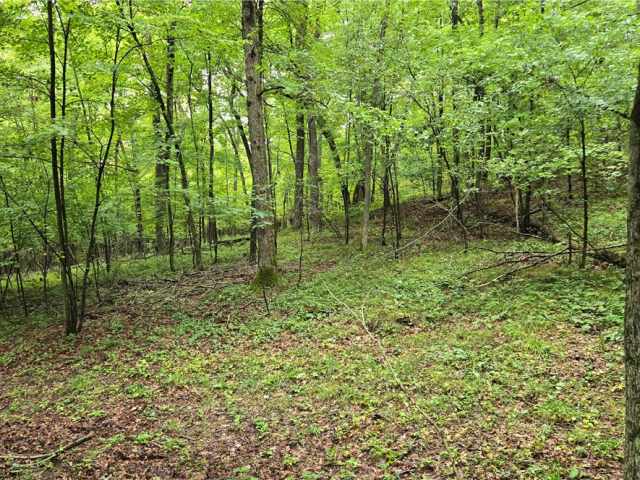 Ridgeland Land Real Estate