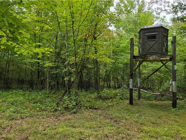 Ridgeland Land Real Estate