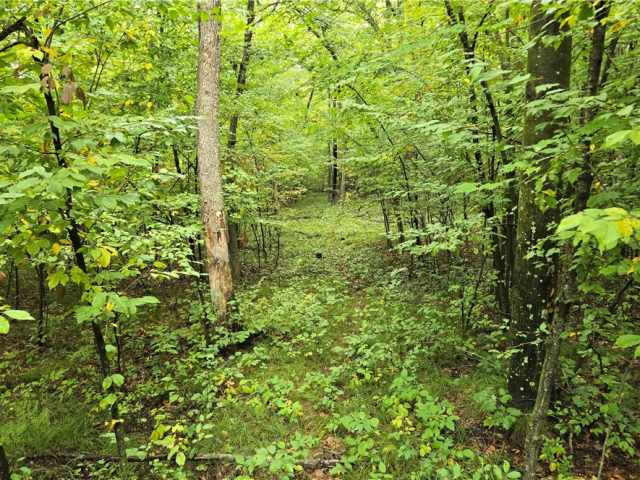 Ridgeland Land Real Estate