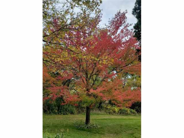 Menomonie Residential Real Estate