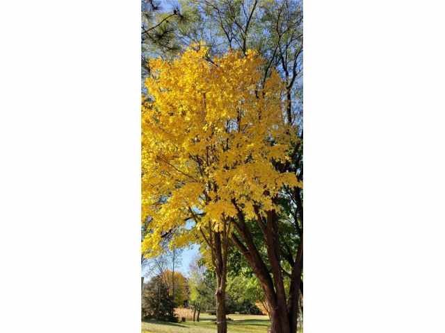 Menomonie Residential Real Estate