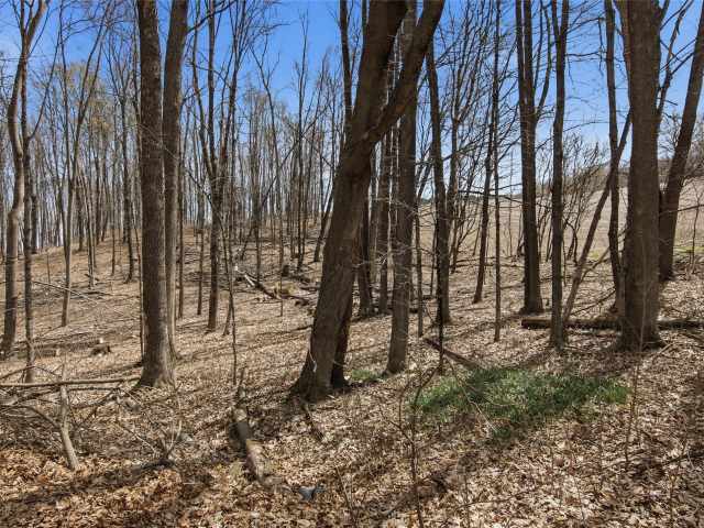 Menomonie Residential Real Estate