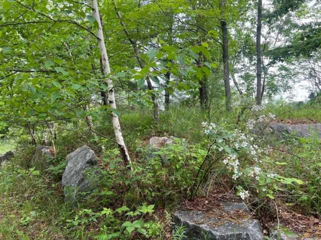 Menomonie Residential Real Estate