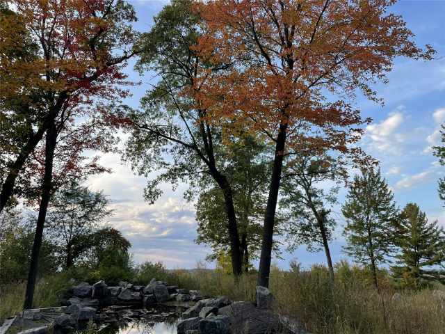 Menomonie Residential Real Estate