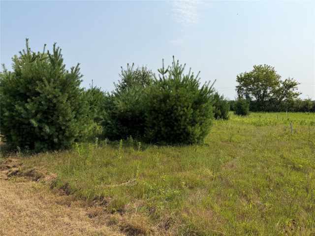 Mondovi Land Real Estate