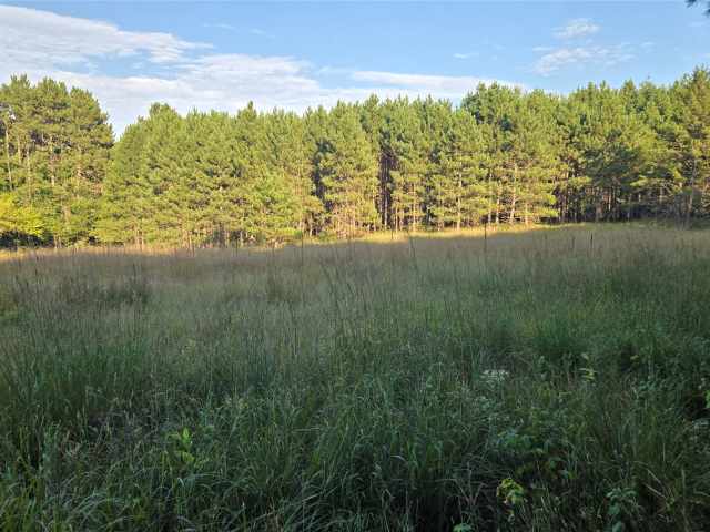 Colfax Land Real Estate