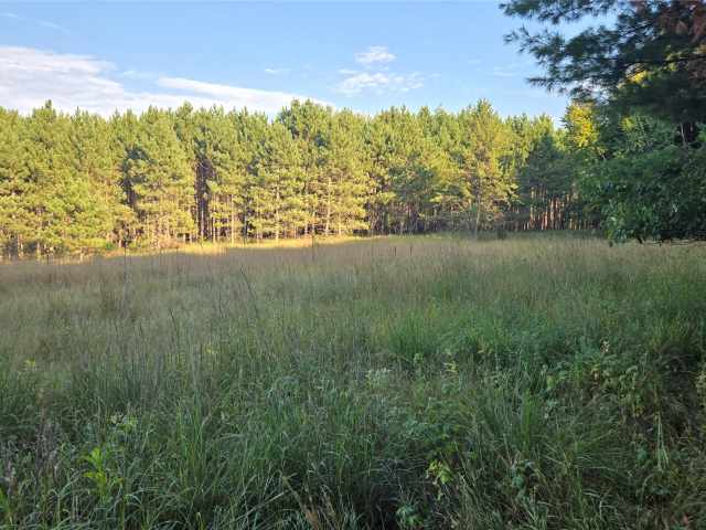 Colfax Land Real Estate