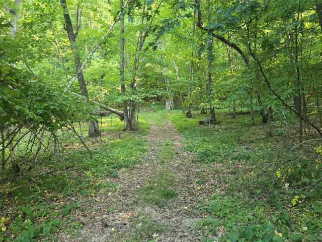 Colfax Land Real Estate