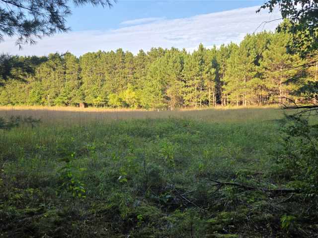 Colfax Land Real Estate