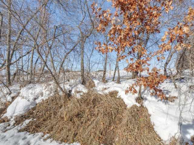 Mondovi Land Real Estate