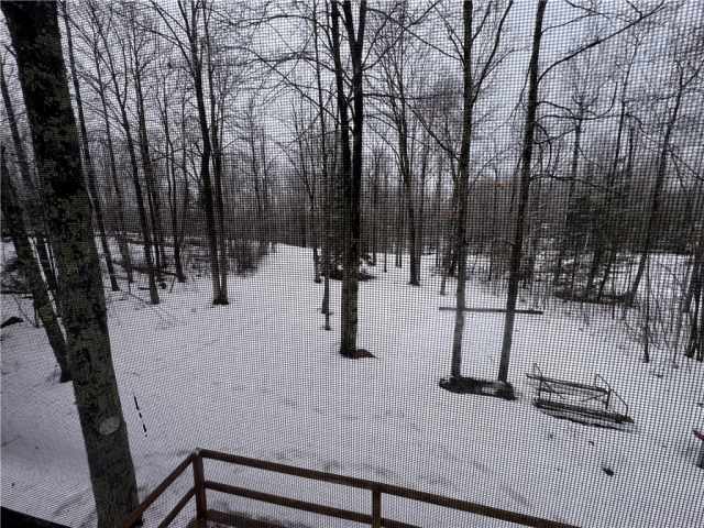 Winter Residential Real Estate