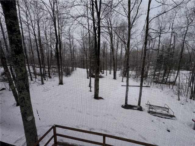 Winter Residential Real Estate