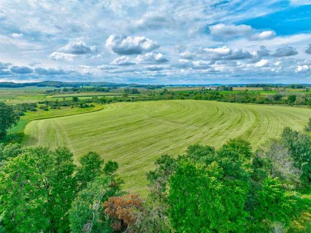 Elk Mound Land Real Estate