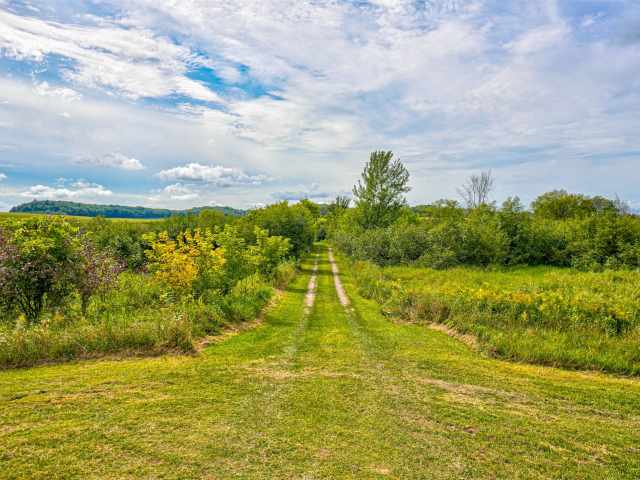 Elk Mound Land Real Estate