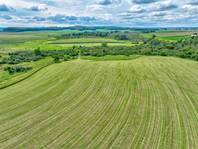 Elk Mound Land Real Estate