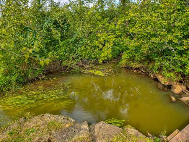 Elk Mound Land Real Estate