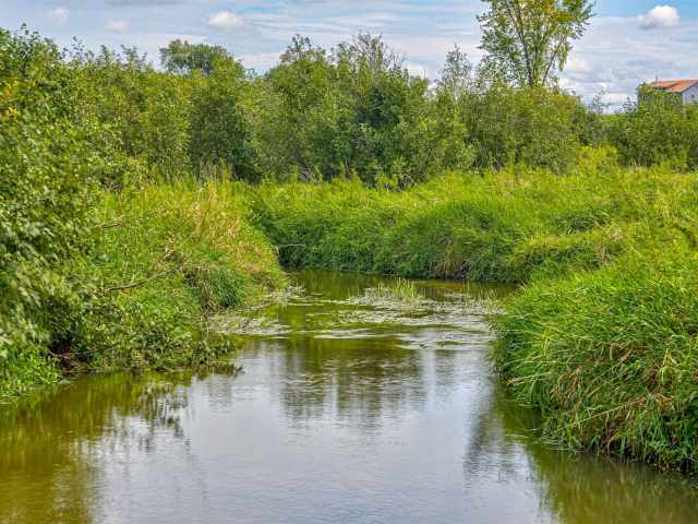 Elk Mound Land Real Estate
