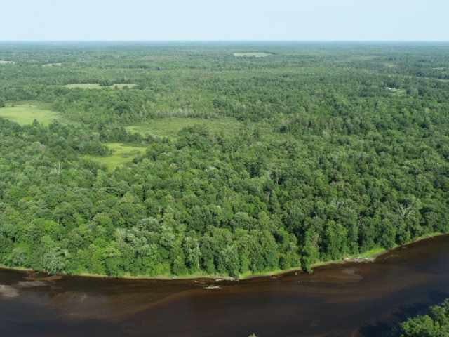 Bruce Residential Real Estate