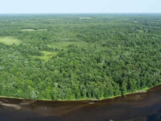 Bruce Residential Real Estate
