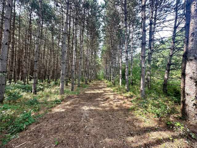 Colfax Land Real Estate