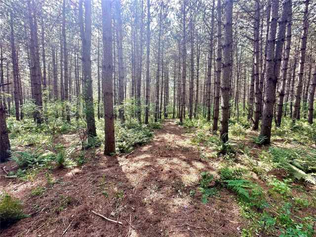 Colfax Land Real Estate