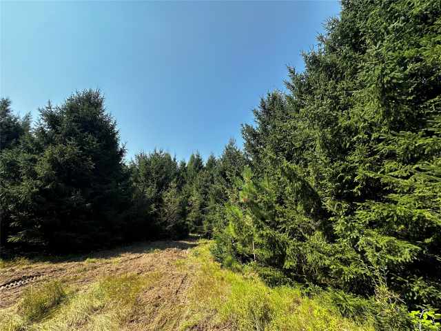 Colfax Land Real Estate