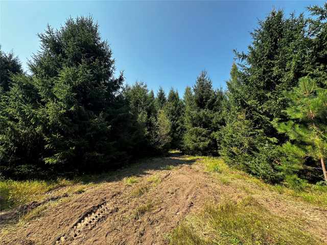 Colfax Land Real Estate