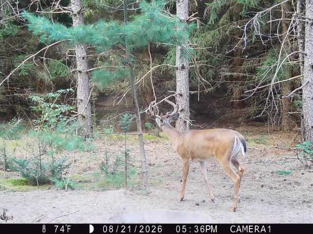 Colfax Land Real Estate