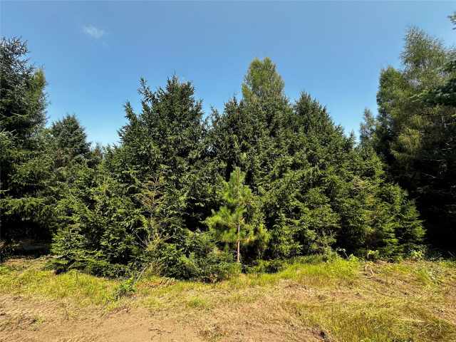 Colfax Land Real Estate