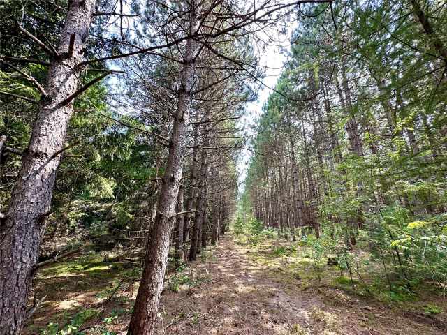 Colfax Land Real Estate