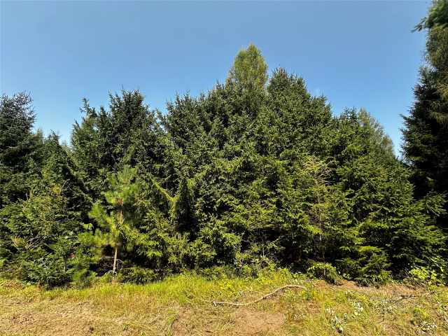 Colfax Land Real Estate