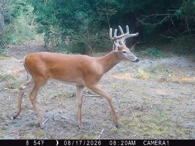 Colfax Land Real Estate
