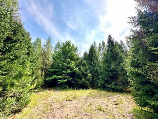 Colfax Land Real Estate