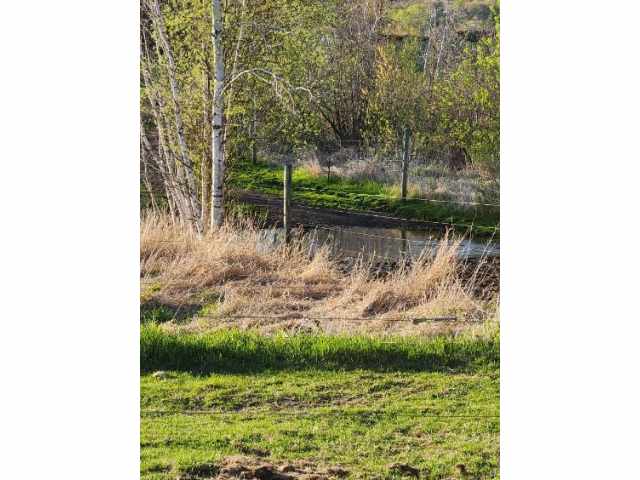 Elk Mound Farm Real Estate
