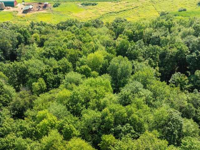 Colfax Land Real Estate
