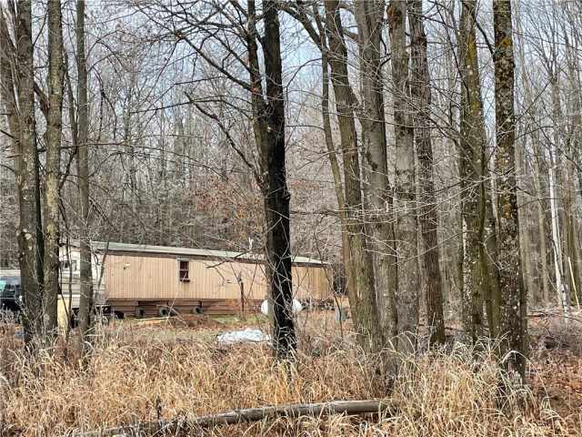 Butternut Residential Real Estate