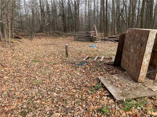 Butternut Residential Real Estate